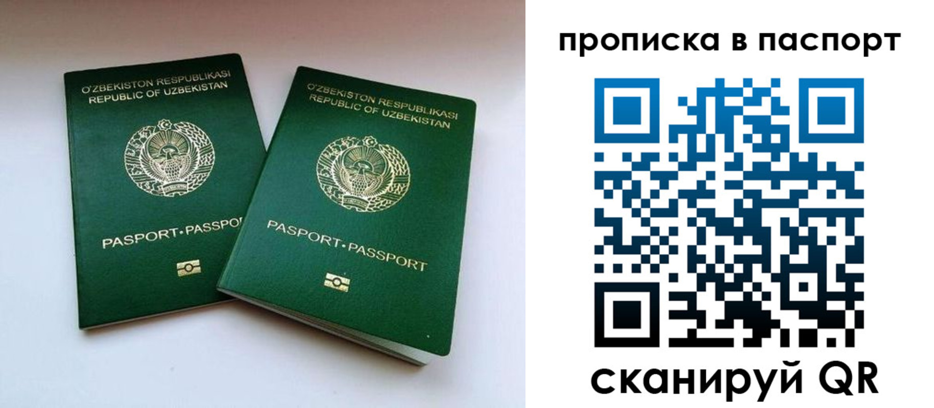 временная регистрация в Камышине